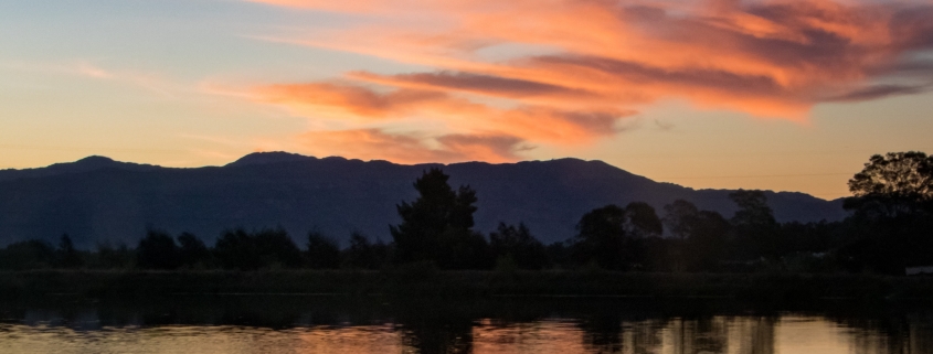 7 måder at mindske din Coronavirus-angst på