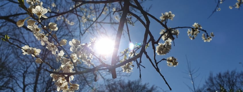 Sandheden bag den værste stress og angst…især under Corona